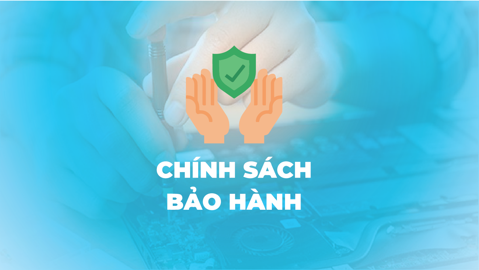 Chính Sách Bảo Hành Của Shopbearrb.net